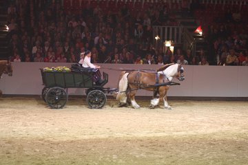 Bild 73 - Hansepferd Gala am 18.4.10